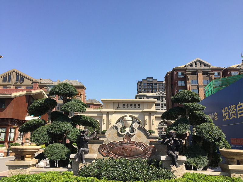 1527840070134263.jpg 1527840070134263.jpg